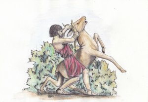 cerynitis_by_c_a_harland-d66d3uy